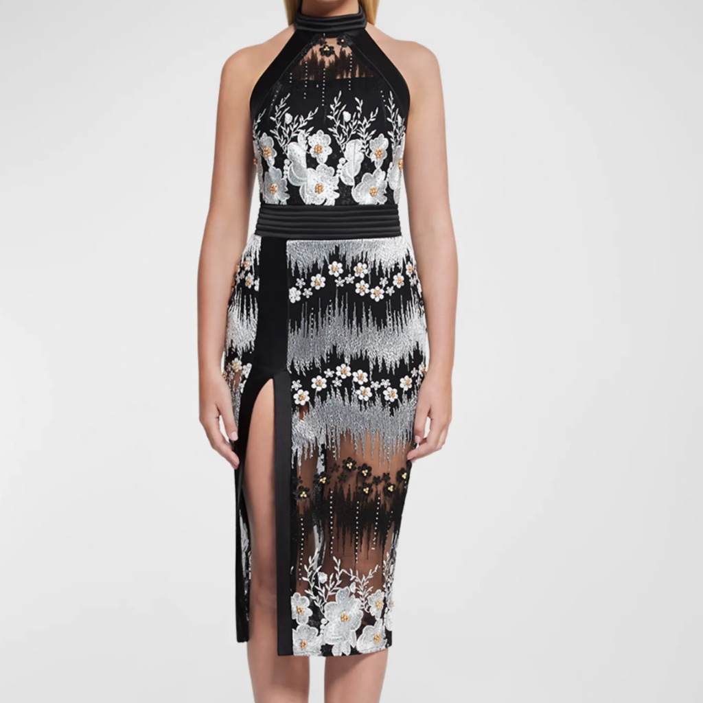 Zhivago Dress (Brand New)